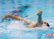 关于连胜终结！韩国队游泳赛事中意外刷新纪录的信息